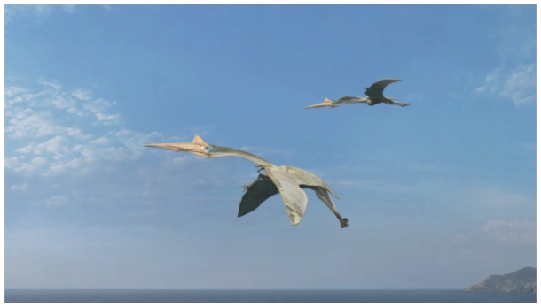 Searex 2009