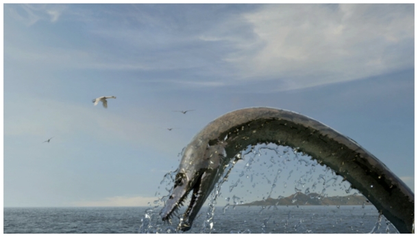 Searex 2009
